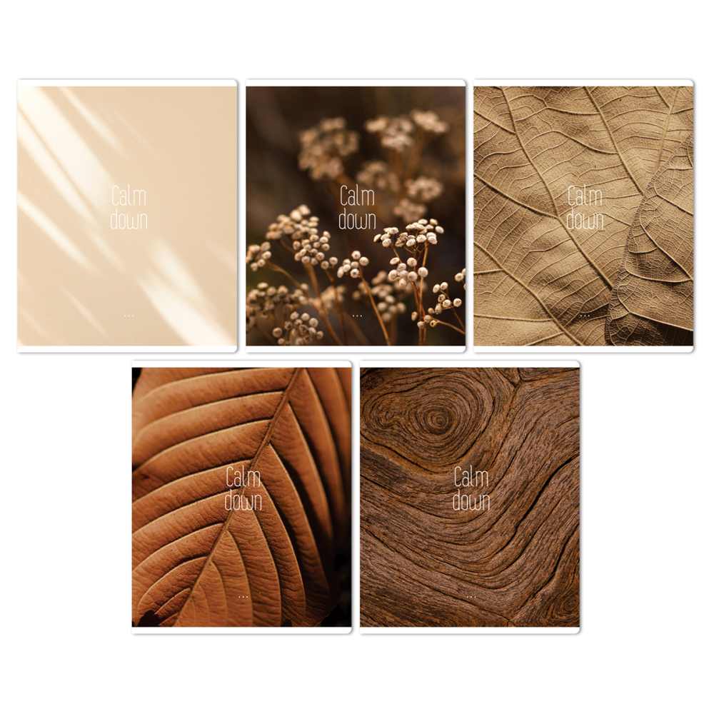 картинка Тетрадь 96 л, А5, клетка, "Calm down", BG, Т5ск96_61423 от магазина Альфанит в Кунгуре