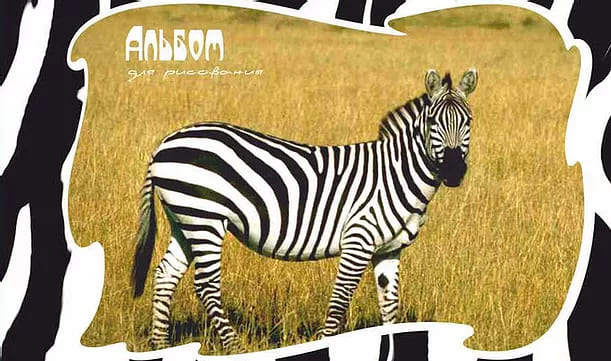картинка Альбом для рисования, А4, 24 л, 180-200 г/м2, на завязках, ассорти, "Экзотические животные", УРБ, С16ЭА от магазина Альфанит в Кунгуре