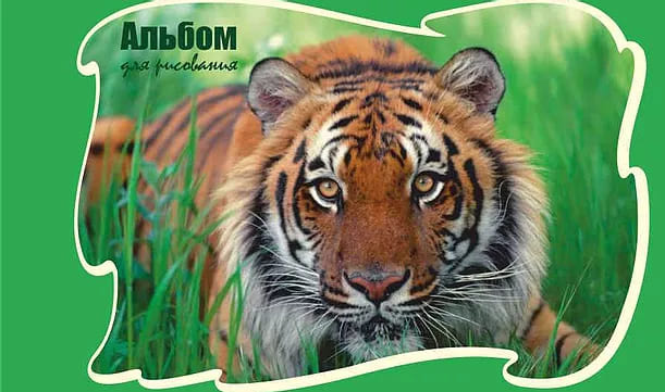 картинка Альбом для рисования, А4, 24 л, 180-200 г/м2, на завязках, ассорти, "Экзотические животные", УРБ, С16ЭА от магазина Альфанит в Кунгуре