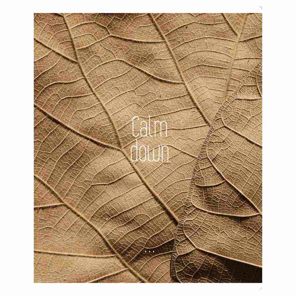 картинка Тетрадь 96 л, А5, клетка, "Calm down", BG, Т5ск96_61423 от магазина Альфанит в Кунгуре