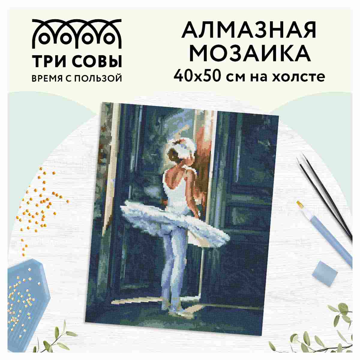 картинка Алмазная картина, 40*50 см, на холсте, полная выкладка, "Трепет перед выступлением", Три совы, АМ4050_47573 от магазина Альфанит в Кунгуре