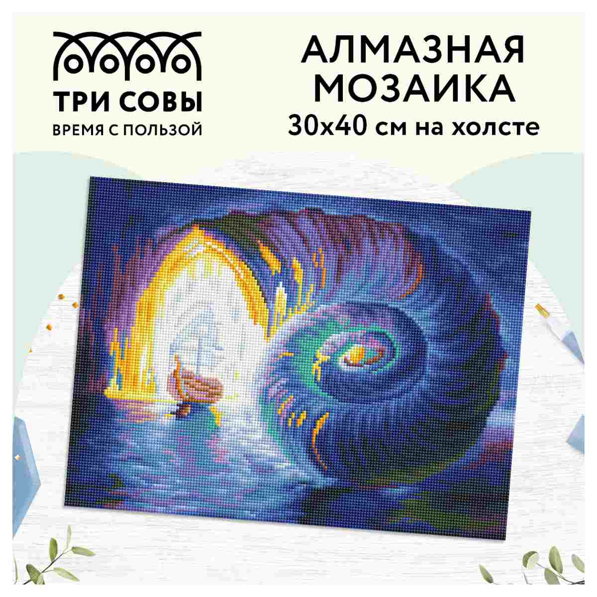 картинка Алмазная картина, 30*40 см, на холсте, полная выкладка, "Затерянный мир", Три совы, АМ3040_47532 от магазина Альфанит в Кунгуре