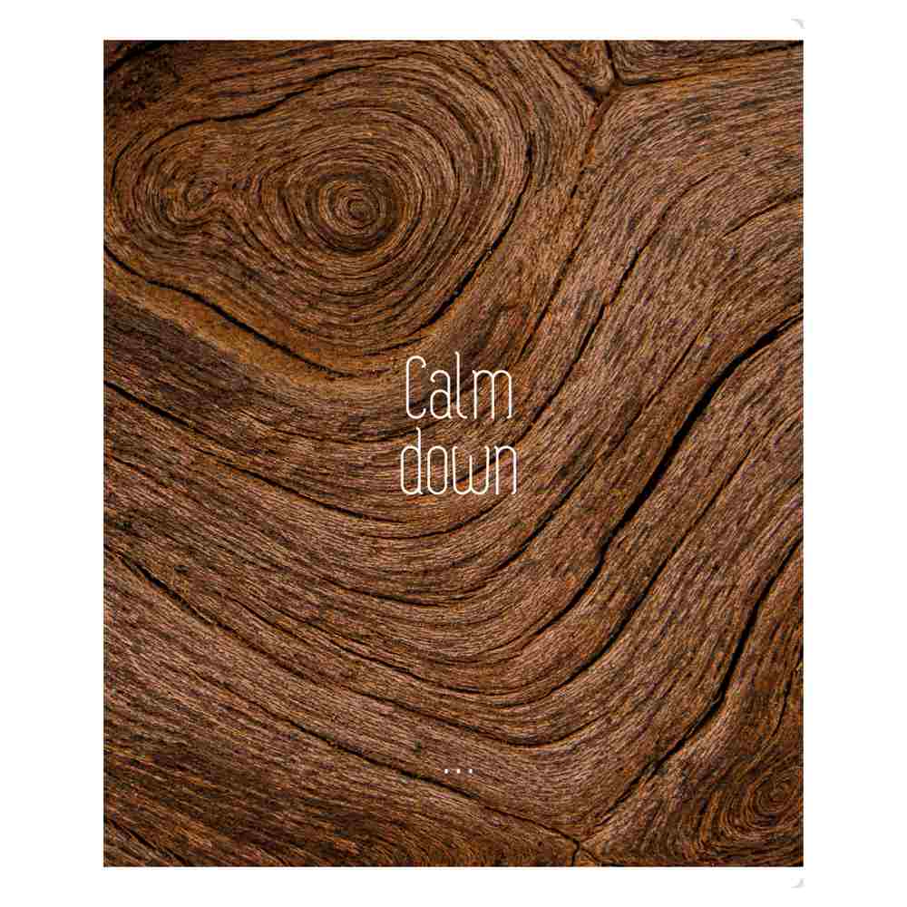 картинка Тетрадь 96 л, А5, клетка, "Calm down", BG, Т5ск96_61423 от магазина Альфанит в Кунгуре