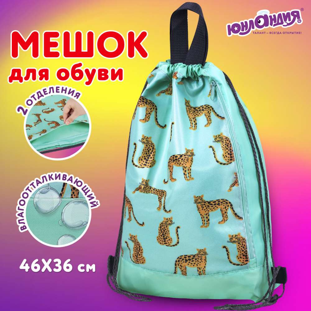 картинка Мешок для обуви, 1 отдел, 1 карман, 46*36 см, полиэстер, "Wild Cats", Юнландия, 271614 от магазина Альфанит в Кунгуре