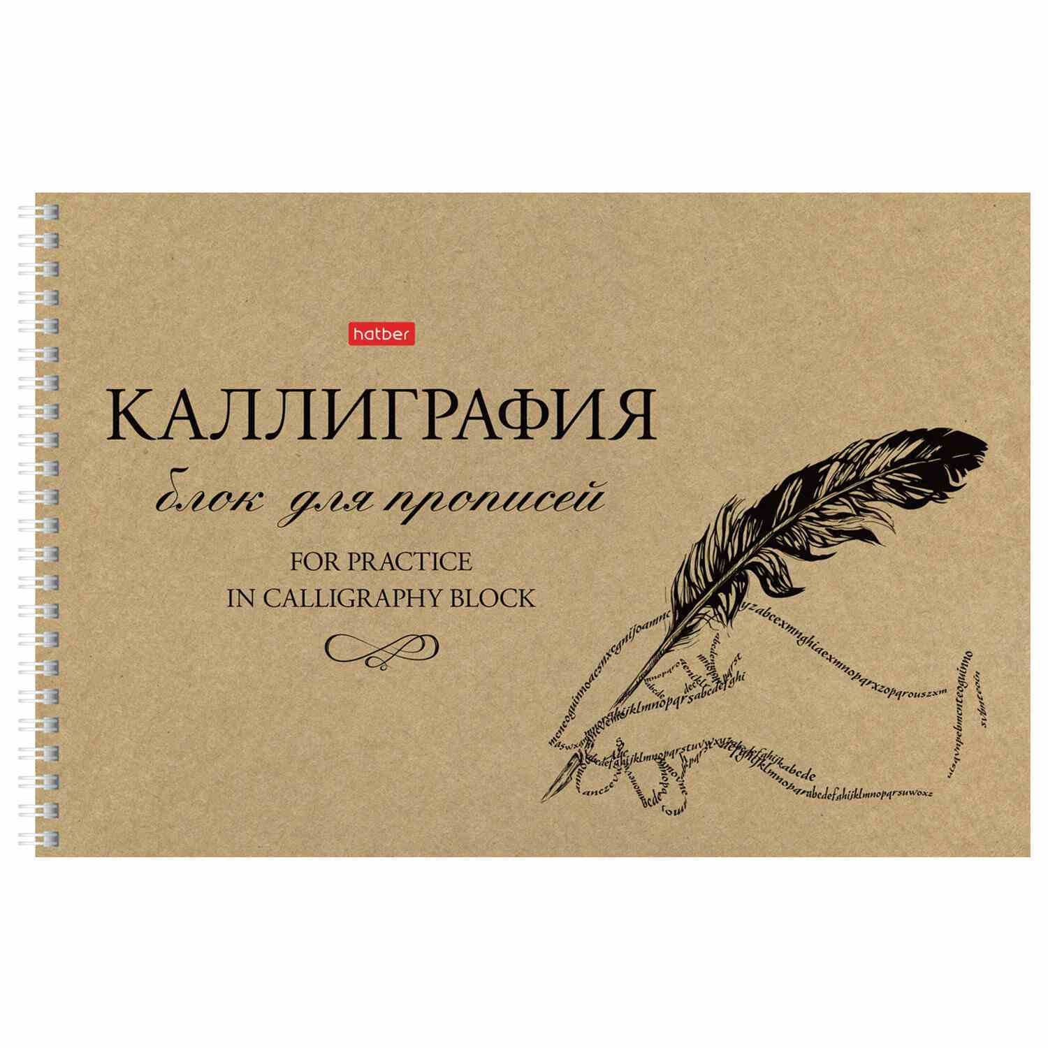 картинка Альбом для каллиграфии и леттеринга, А4, 30 л, "Пиши красиво", Hatber, 30Тп4тВ5гр_22371 от магазина Альфанит в Кунгуре