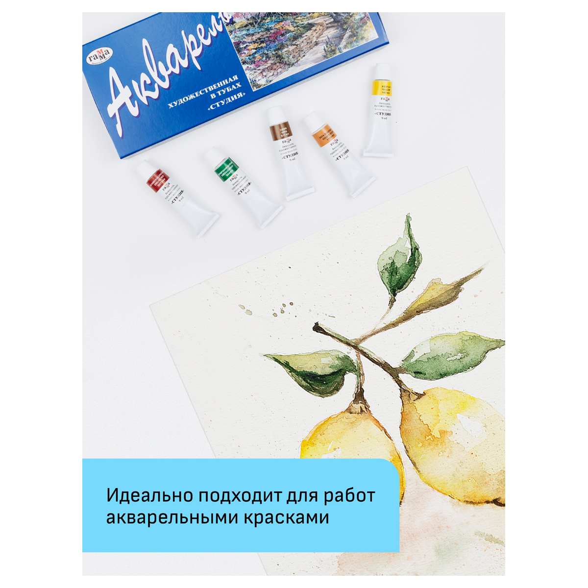 картинка Папка для акварели, А4, 20 л, 200 г/м2, среднее зерно, "Студия", Гамма, 40C03F720W от магазина Альфанит в Кунгуре