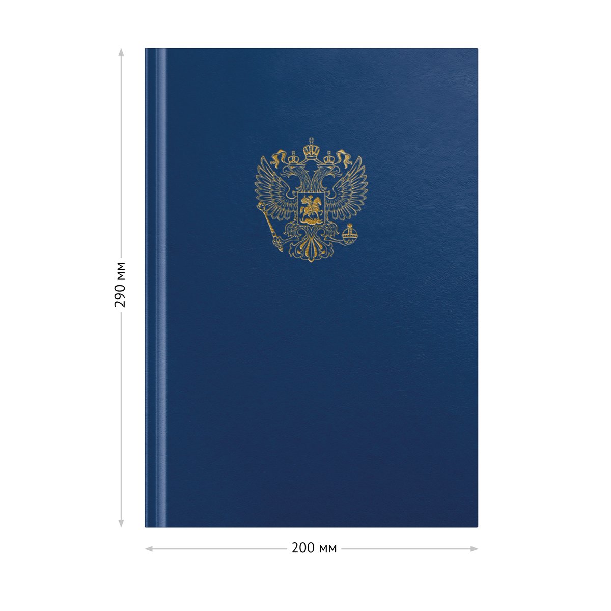картинка Книга учета, А4, 96 л, клетка, синий, блок офсет, OfficeSpace, 315594 от магазина Альфанит в Кунгуре