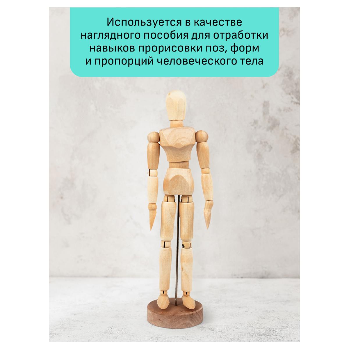 картинка Манекен человека художественный мужской, высота 20 см, дерево, "Студия", Гамма, 180520217 от магазина Альфанит в Кунгуре