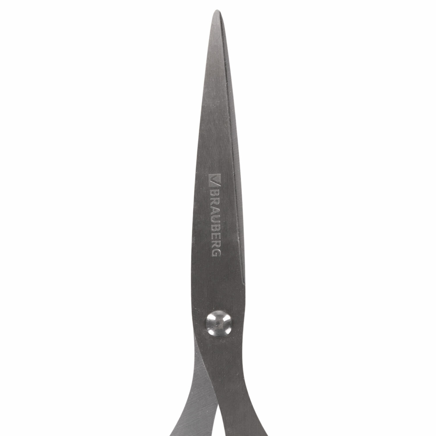 картинка Ножницы 160 мм, черный, "Classic+", BRAUBERG, 230933 от магазина Альфанит в Кунгуре