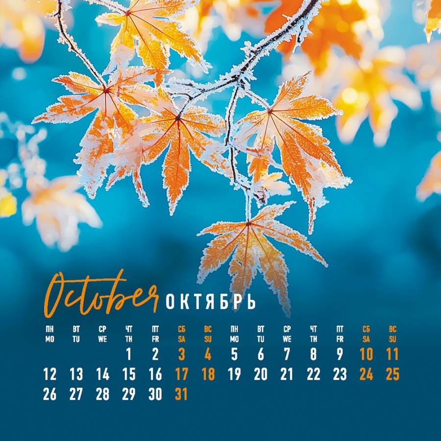 картинка Календарь-домик перекидной 2026 год, 10,1*10,1 см, "Moments of nature", Hatber, 12КД6гр_33374 от магазина Альфанит в Кунгуре