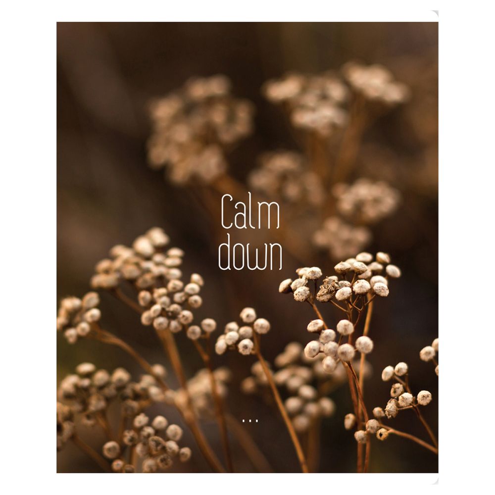 картинка Тетрадь 96 л, А5, клетка, "Calm down", BG, Т5ск96_61423 от магазина Альфанит в Кунгуре