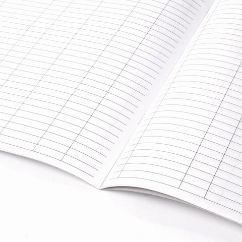 картинка Книга домовая, А4, 12 л, BRAUBERG, 130192 от магазина Альфанит в Кунгуре