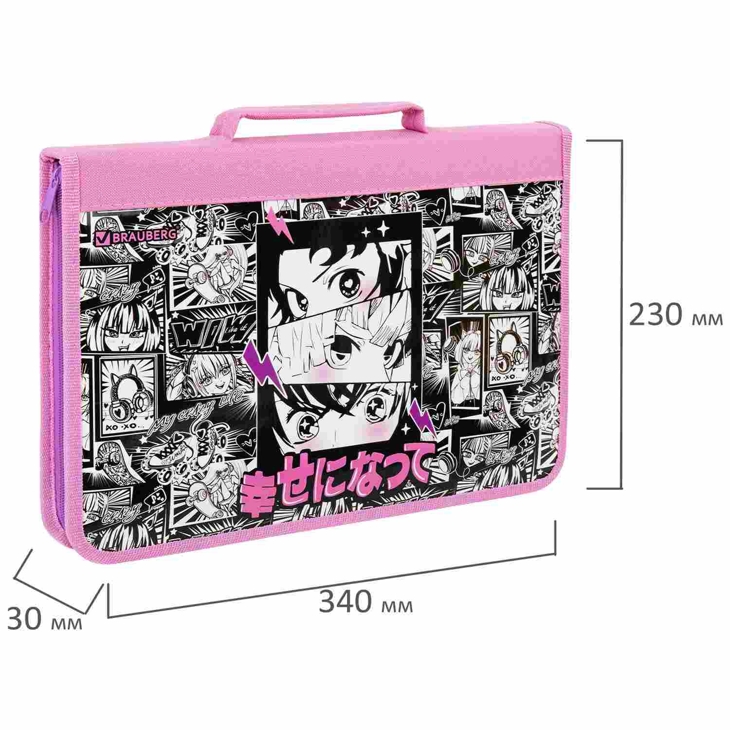картинка Папка для труда и тетрадей, А4, 1 отдел, с ручками, на молнии, органайзер, "Anime movie", BRAUBERG, 272216 от магазина Альфанит в Кунгуре