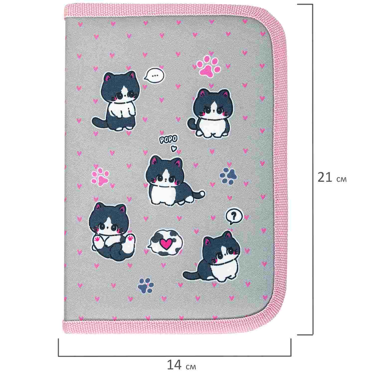 картинка Пенал 1 отделение, 21*14 см, полиэстер, "Cat patches", BRAUBERG, 272327 от магазина Альфанит в Кунгуре