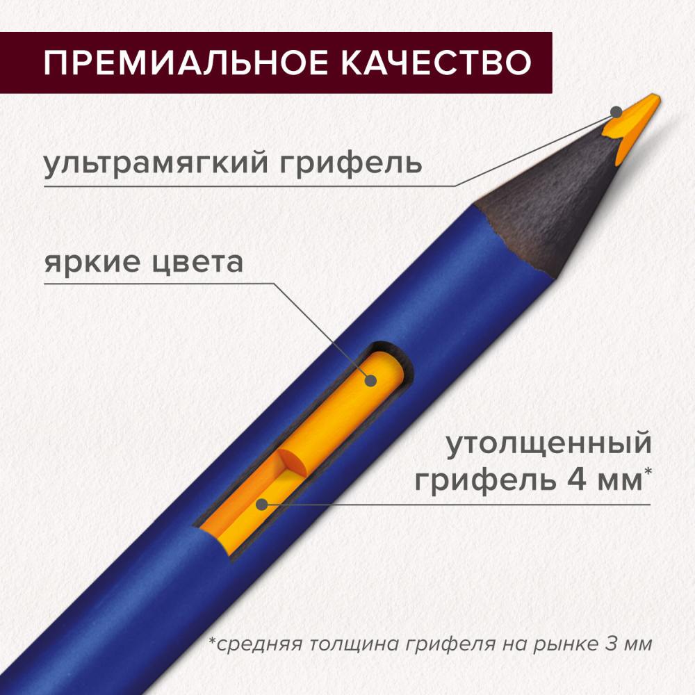 картинка Карандаши цветные акварельные художественные, 12 цв, 12 шт, дерево, "Premiere", BRAUBERG, 181533 от магазина Альфанит в Кунгуре