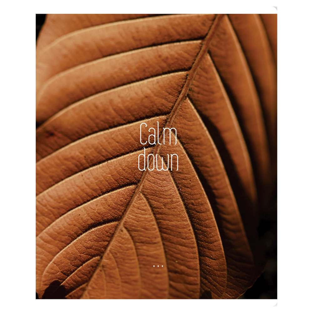 картинка Тетрадь 96 л, А5, клетка, "Calm down", BG, Т5ск96_61423 от магазина Альфанит в Кунгуре