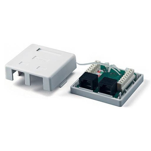 картинка Розетка RJ-45, 2 порта, внешняя от магазина Альфанит в Кунгуре