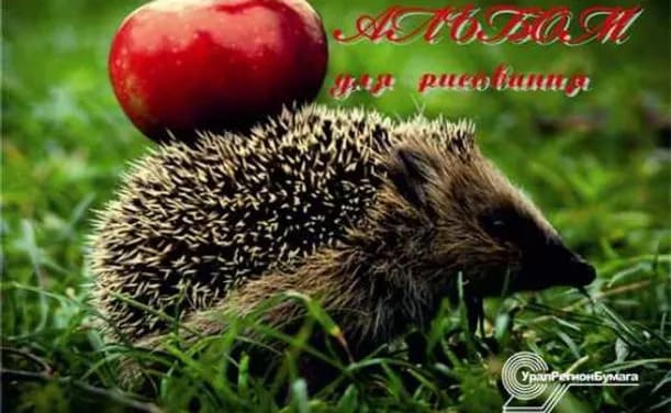 картинка Альбом для рисования, А4, 24 л, 180-200 г/м2, на завязках, ассорти, "Экзотические животные", УРБ, С16ЭА от магазина Альфанит в Кунгуре