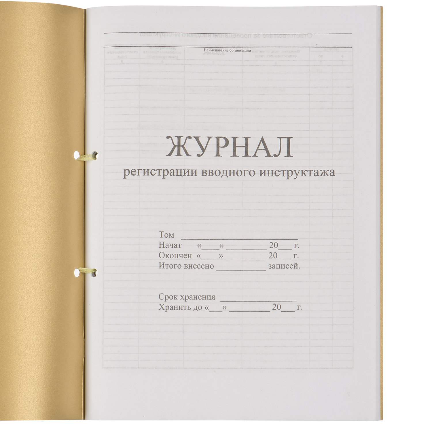 картинка Журнал регистрации вводного инструктажа, 32 л., сшивка, пломба, обложка ПВХ, 130204 от магазина Альфанит в Кунгуре