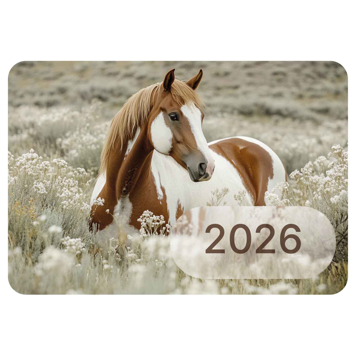 картинка Календарь карманный 2026 год, 6,4*9,3 см, ассорти, BRAUBERG, 117303 от магазина Альфанит в Кунгуре