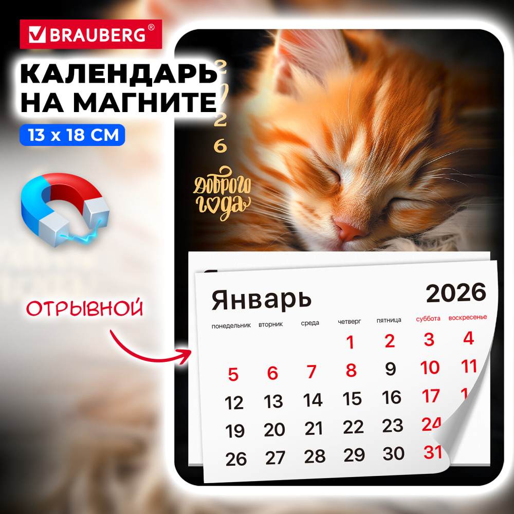 картинка Календарь на магните 2026 год, 13*18 см, "Котик", BRAUBERG, 117289 от магазина Альфанит в Кунгуре