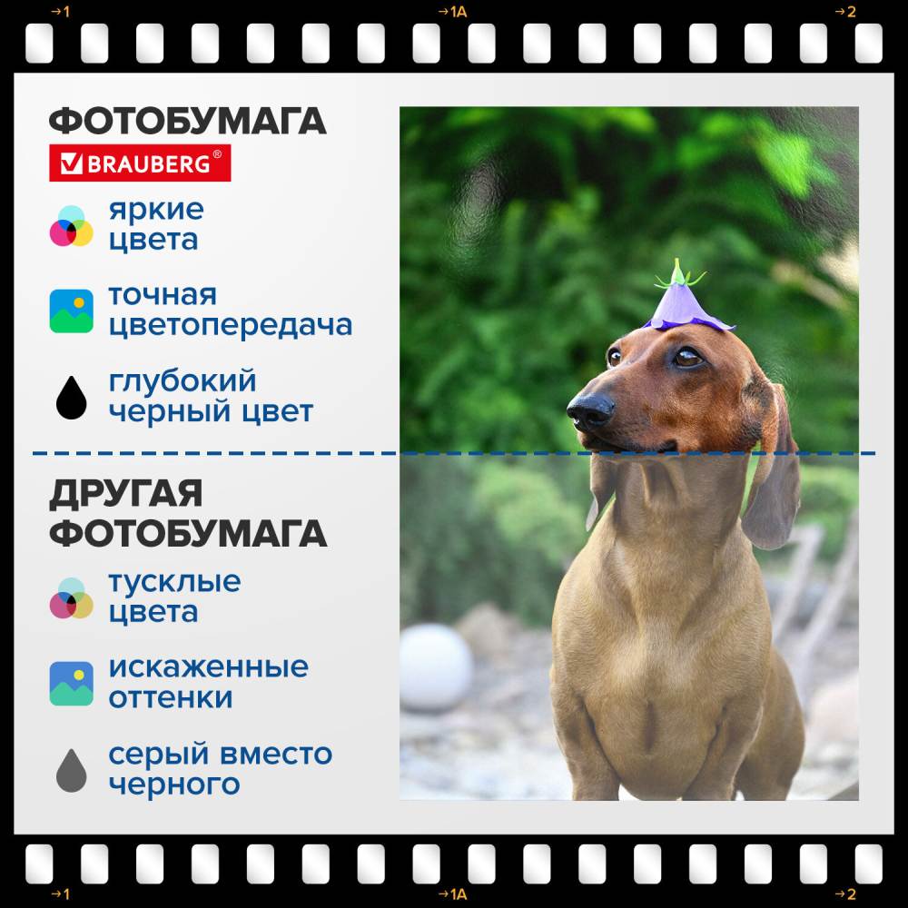 картинка Фотобумага BRAUBERG, 10*15, 100 л, 200 г/м2, глянцевая односторонняя, "Original", 364407 от магазина Альфанит в Кунгуре