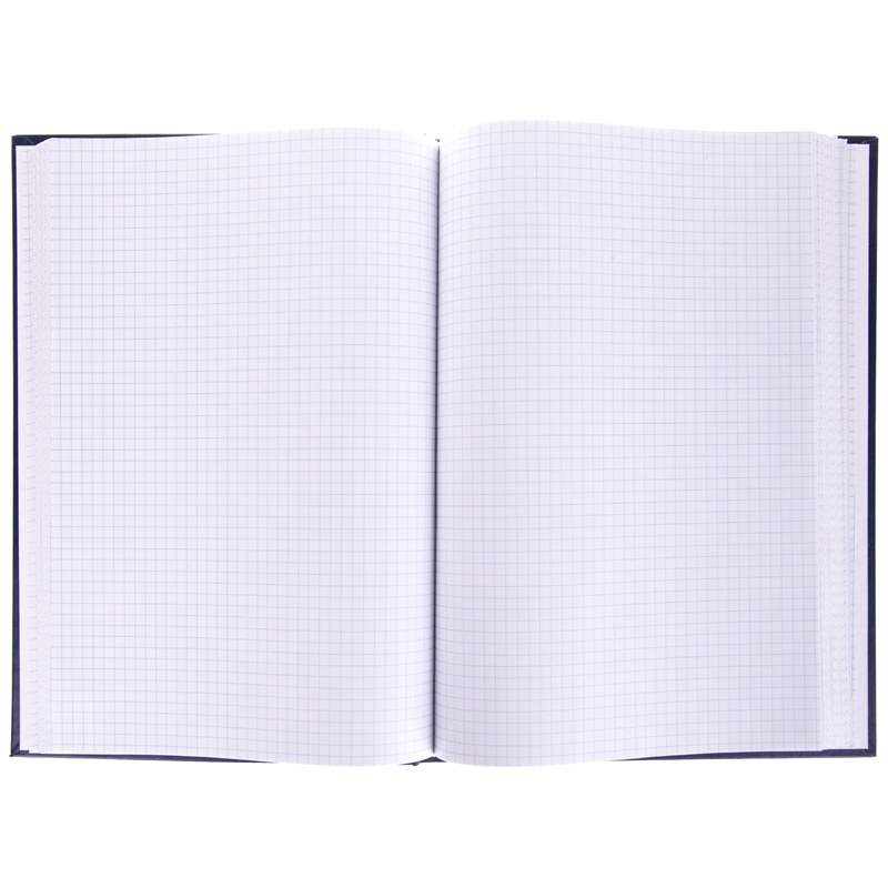 картинка Книга учета, А4, 192 л, клетка, бумвинил, OfficeSpace, 246158 от магазина Альфанит в Кунгуре