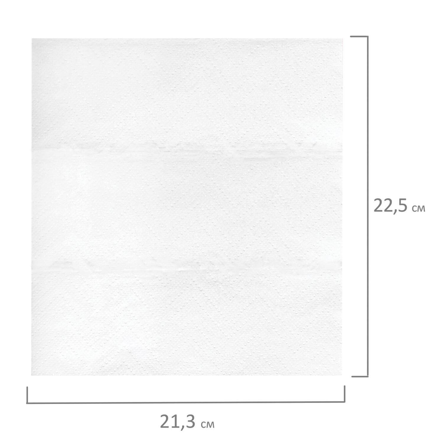 картинка Полотенца бумажные, 21*200 шт, 2 слоя, цвет белый, Z-сложение, "Advanced", LAIMA, 111337 от магазина Альфанит в Кунгуре