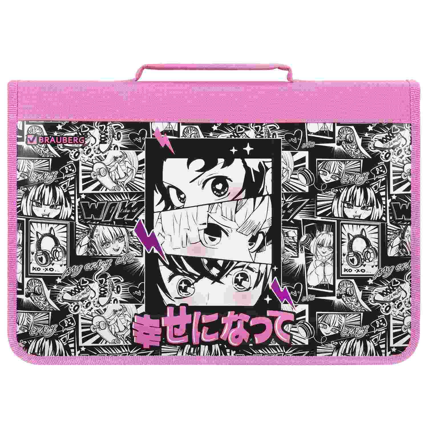 картинка Папка для труда и тетрадей, А4, 1 отдел, с ручками, на молнии, органайзер, "Anime movie", BRAUBERG, 272216 от магазина Альфанит в Кунгуре